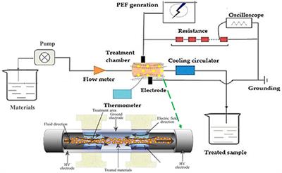 The Pulsed Electric Field Assisted-Extraction Enhanced the Yield and the Physicochemical Properties of Soluble Dietary Fiber From Orange Peel